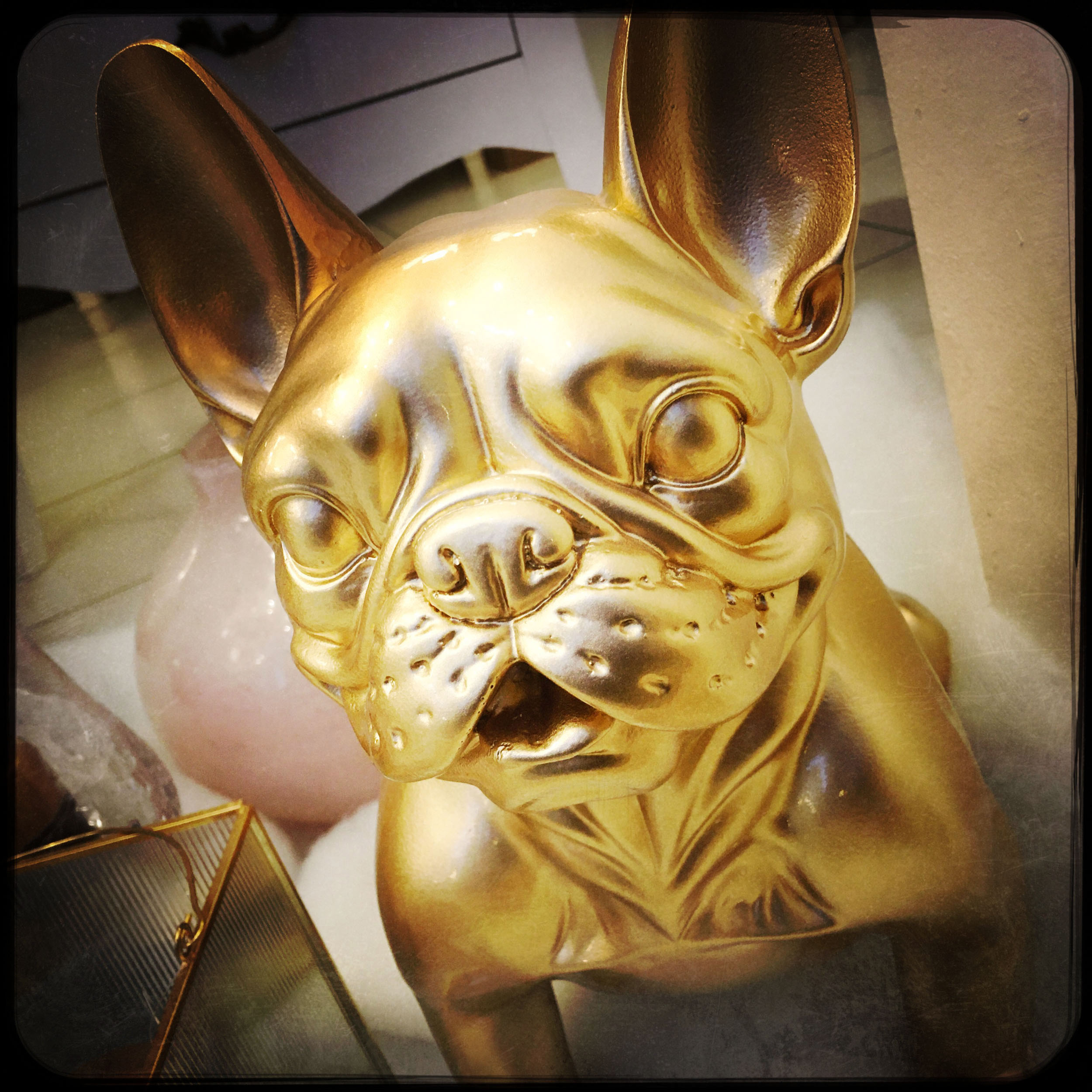 Portrait artistique d'une sculpture de chien doré dans une vitrine. Photo réalisée à l’iPhone à l'aide de l'application Hipstamatic.