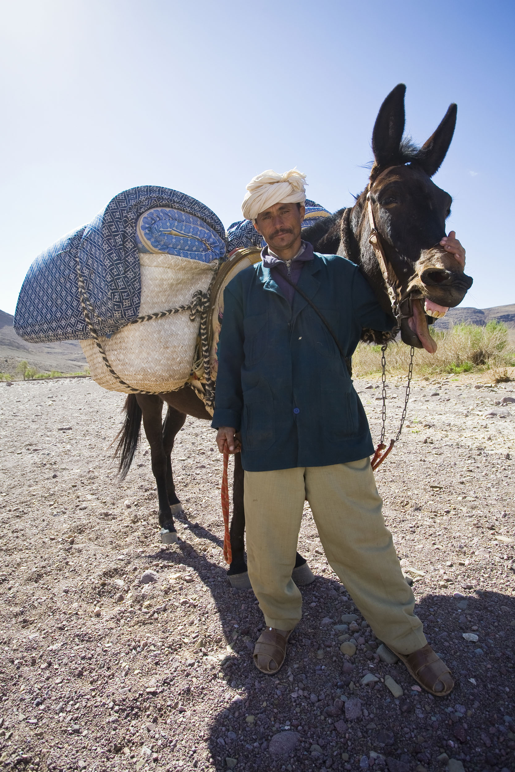 Portrait de plain-pied d'un nomade posant avec sa mule au Maroc.